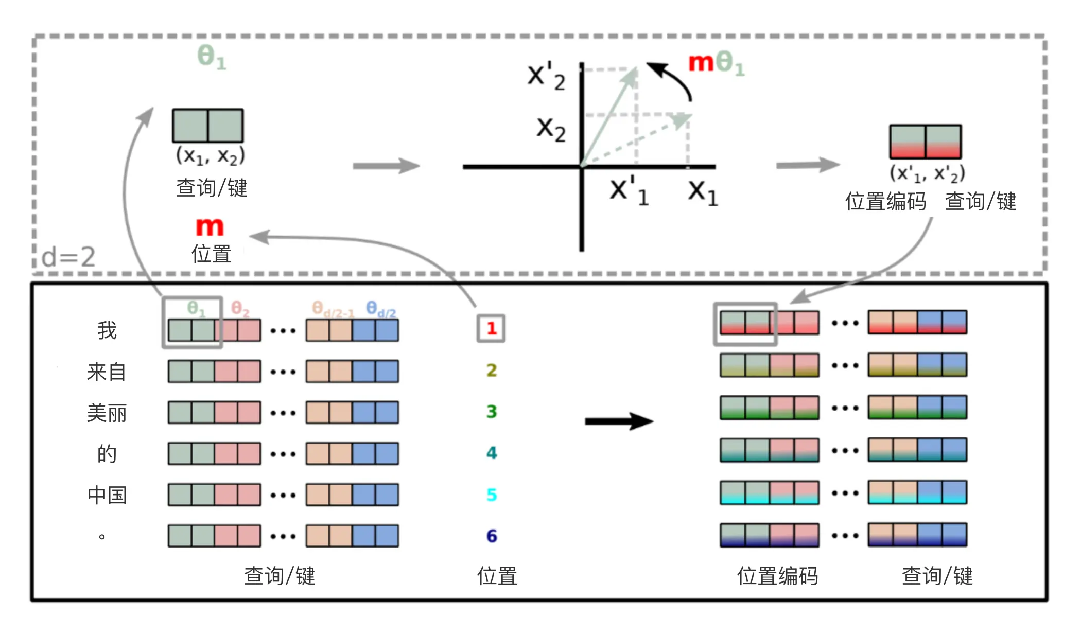 rope转圈视角示意图